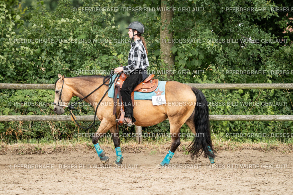 DSC03776 | Pferdegrafie