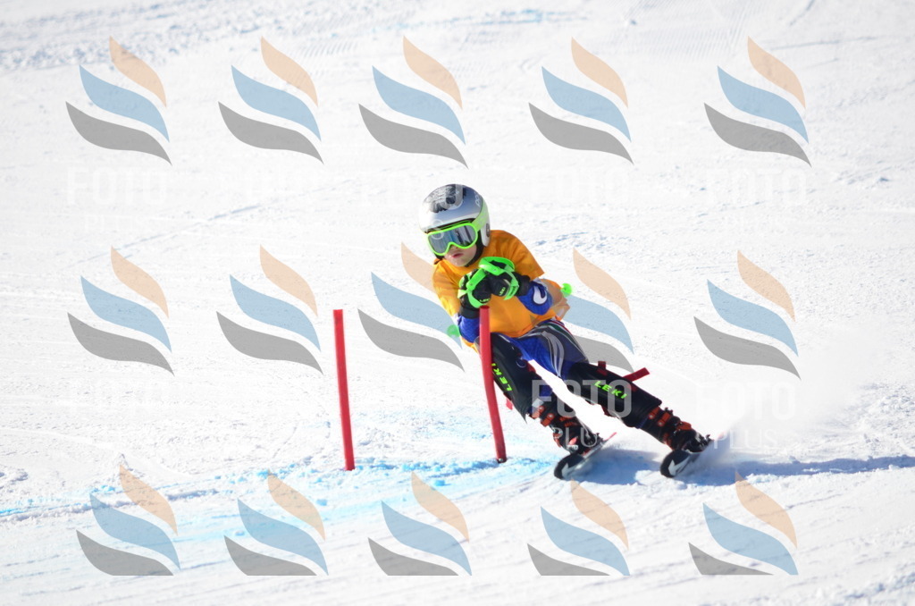 C6120 | holidayphoto