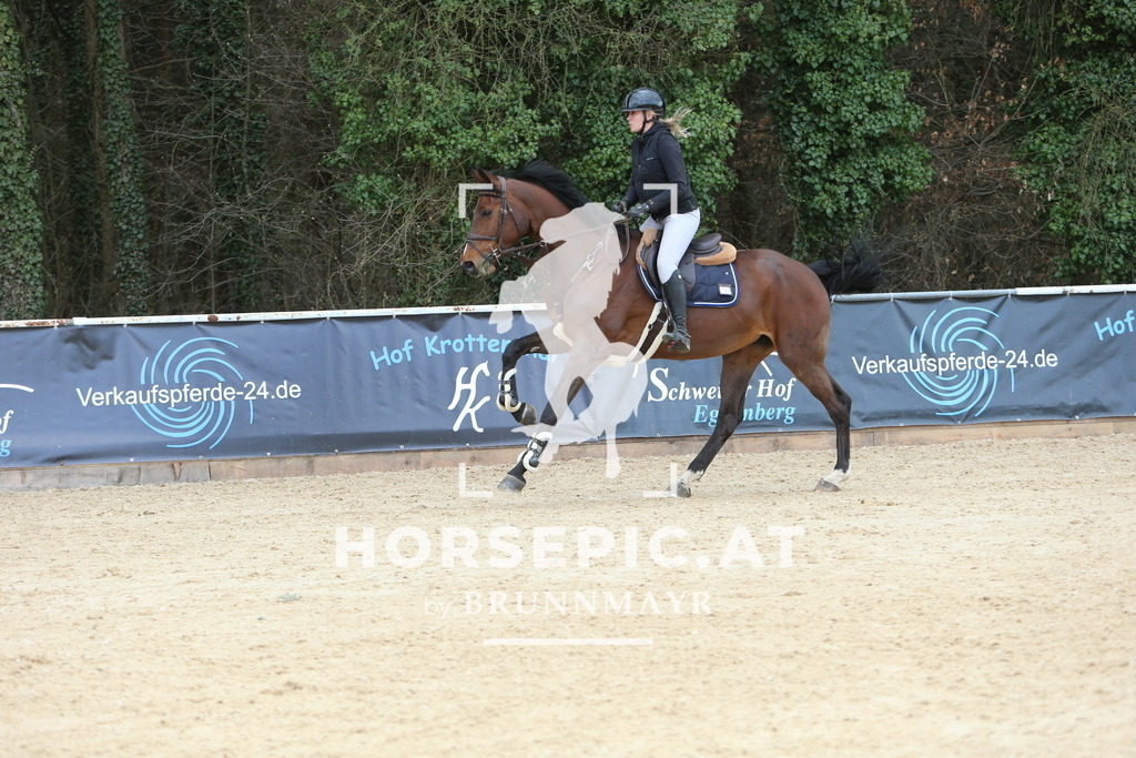 DL2Q0119 | Willkommen bei Brunnmayr - Design & Fotografie – Ihrem Spezialisten für Reitturniere und Pferdeveranstaltungen in Oberösterreich, Salzburg und Bayern! Seit über 17 Jahren sind wir leidenschaftlich dabei.