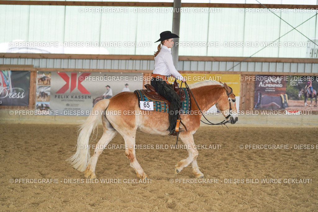 DSC01205 | Pferdegrafie