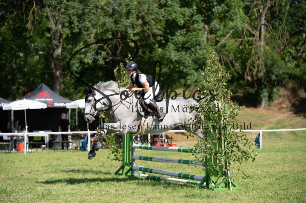 A7V05451 | Pferdefotograf