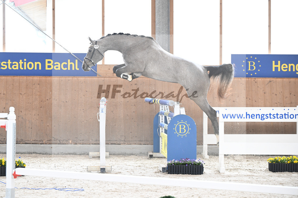 Kat-Nr. 9 nn v. Vingino_Schindele_5250238 | hf-fotografie - Realisiert mit Pictrs.com