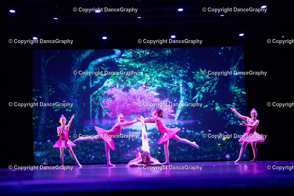 GPHY5033 | DanceGraphy - Realisiert mit Pictrs.com