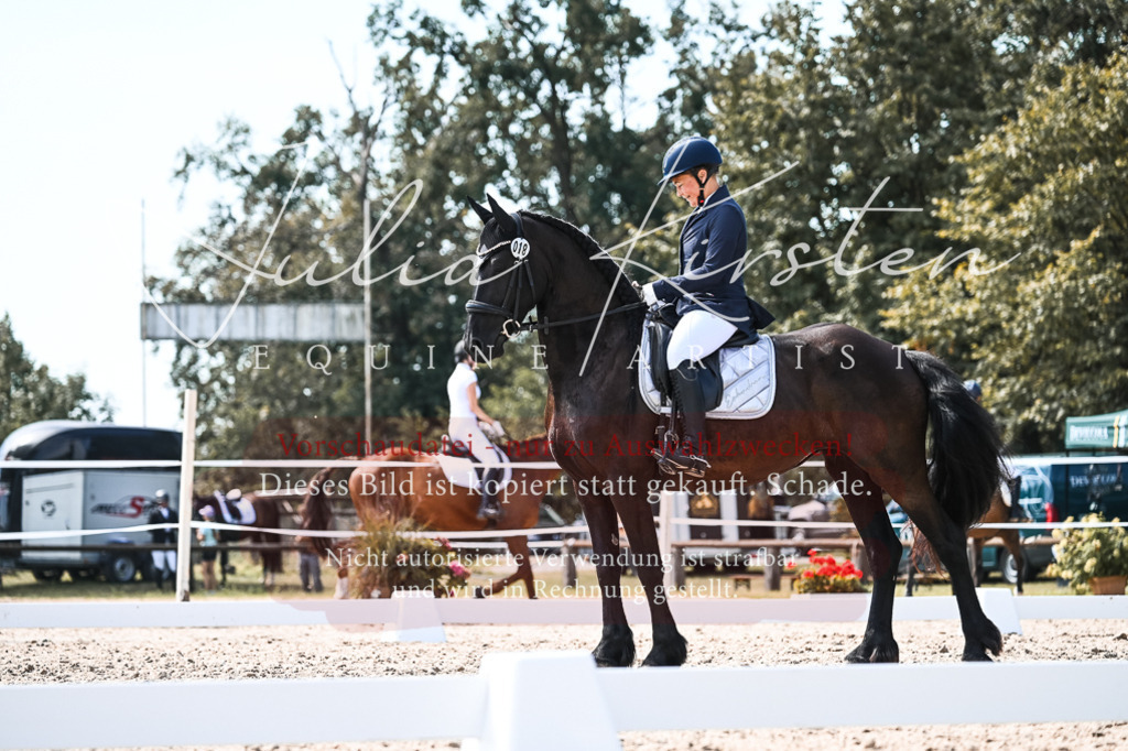 DSC_5372 | Pferde- und Turnierfotografie in Westsachsen. Pferdeportraits, Auftragszeichnungen und intuitive Kunst.