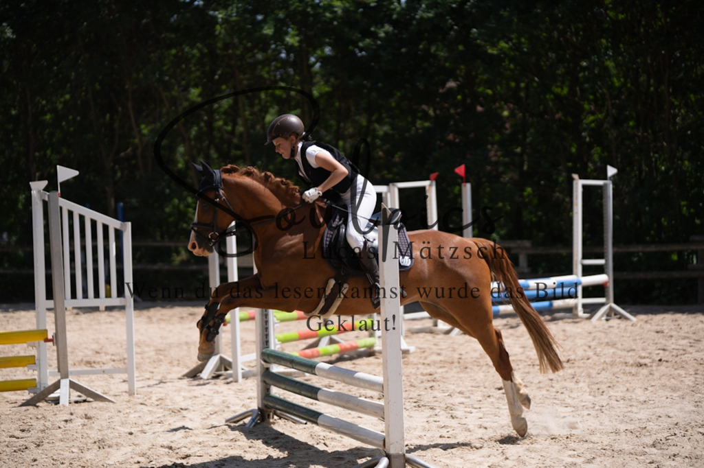 A7V08401 | Pferdefotograf