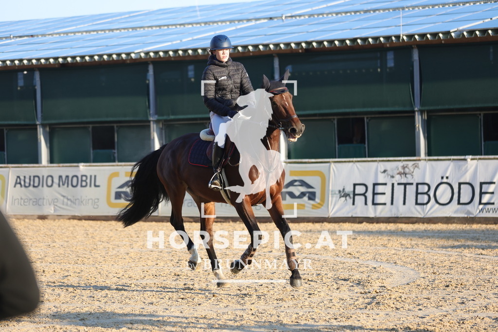 0P6A8502 | Willkommen bei Brunnmayr - Design & Fotografie – Ihrem Spezialisten für Reitturniere und Pferdeveranstaltungen in Oberösterreich, Salzburg und Bayern! Seit über 17 Jahren sind wir leidenschaftlich dabei.