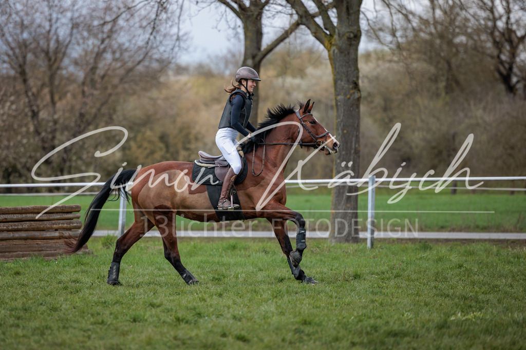 20260329-_3LI5576 | Tierfotografie Pferde, Hunde, Katzen, Haustiere.
Turnierfotografie Reitturniere, Reiten, Springreiten, Dressur in Hanau, dem Main-Kinzig-Kreis und dem Rhein-Main- Gebiet um Frankfurt