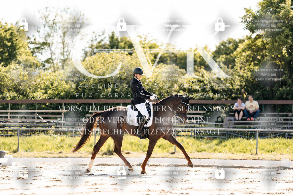 CK909135 | Turnierfotografie Pferdefotografie Trier Rheinland-Pfalz Pferdesport Reitsport Tierfotografie Sportfotografie Pferdevideo Pferdevideografie Equestrianvideography equestrianphotography  - Realisiert mit Pictrs.com