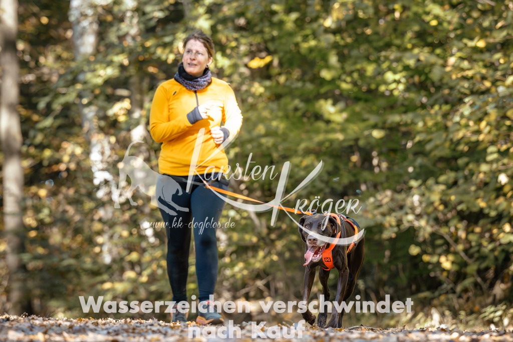 1138_ZZ92928 | kk-dogfotos