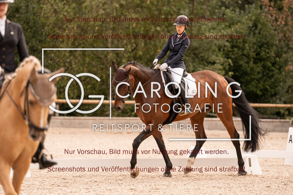 DSC04158 | Turnierfotografin Carolin Gieschke, Turnierfotografie Carolin G Fotografie, Turnierfotos Kirchheim/Teck, Esslingen, Stuttgart, Bodenseekreis