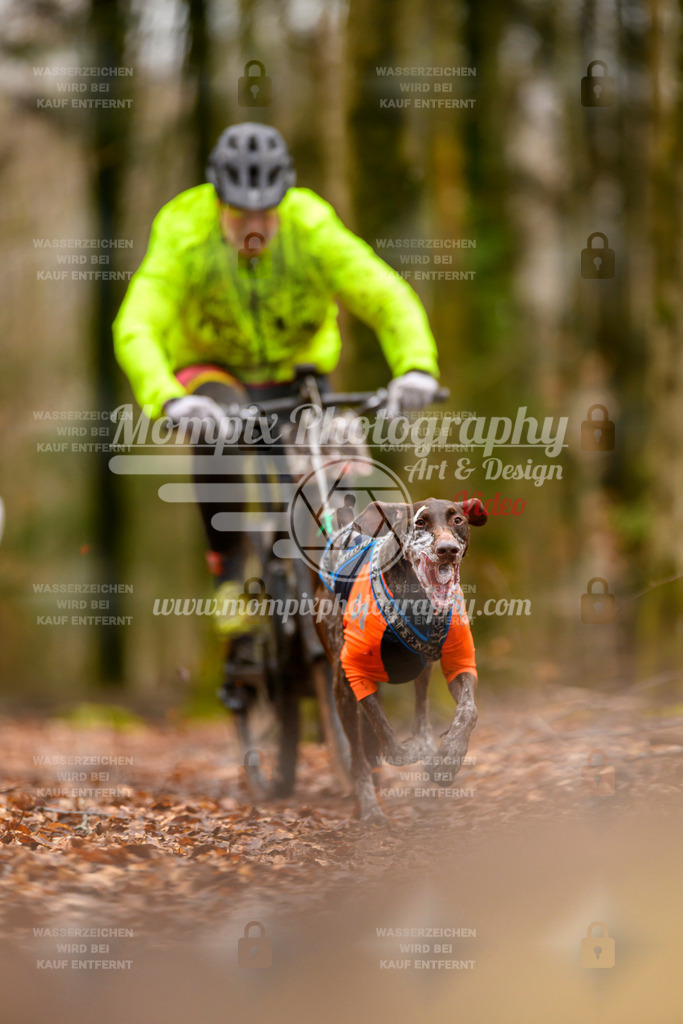 MompixPhotography_Habay2024_SA_Bike-10 | mompixphotography