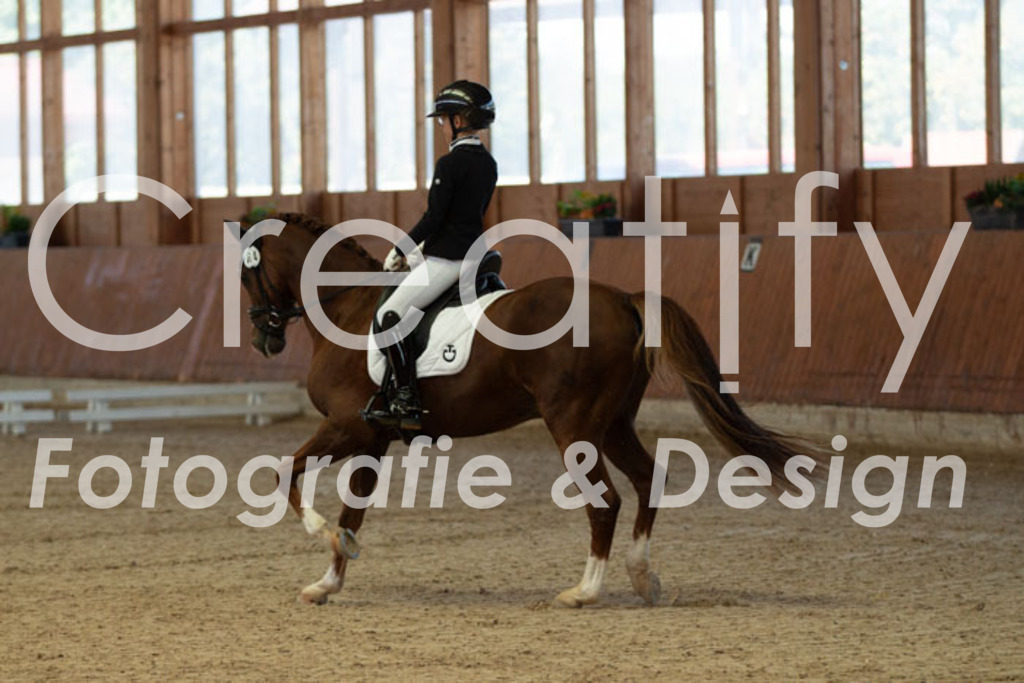 IMG_7881 | Creatify Fotografie