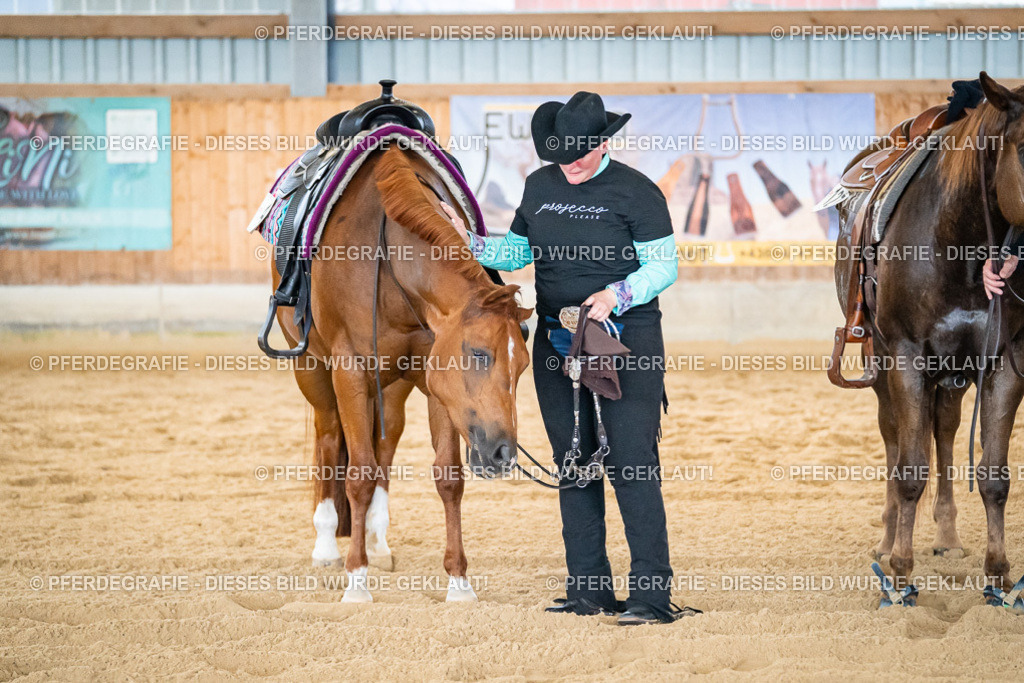 DSC09400 | Pferdegrafie