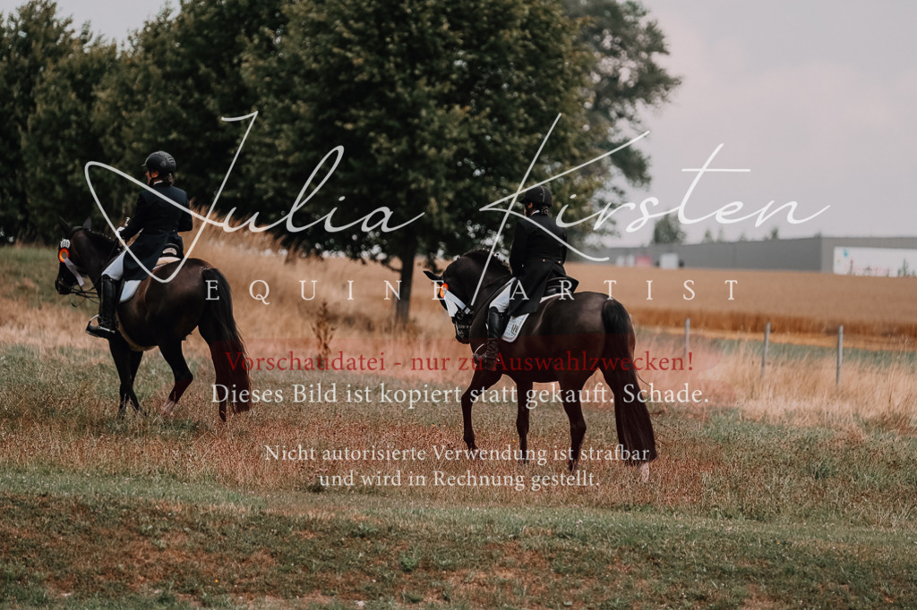 DSC_3716 | Pferde- und Turnierfotografie in Westsachsen. Pferdeportraits, Auftragszeichnungen und intuitive Kunst.