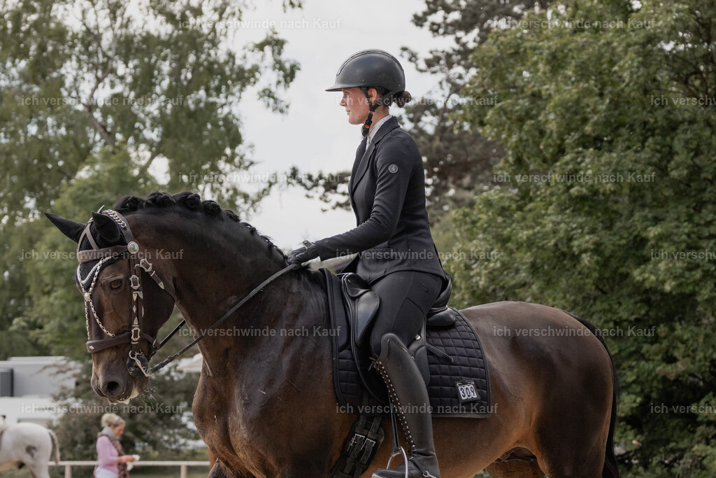 WE_ST_Stoib_309_PI2025_976 | Pferd International München 2025