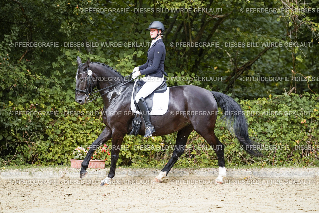 DSC05453 | Pferdegrafie