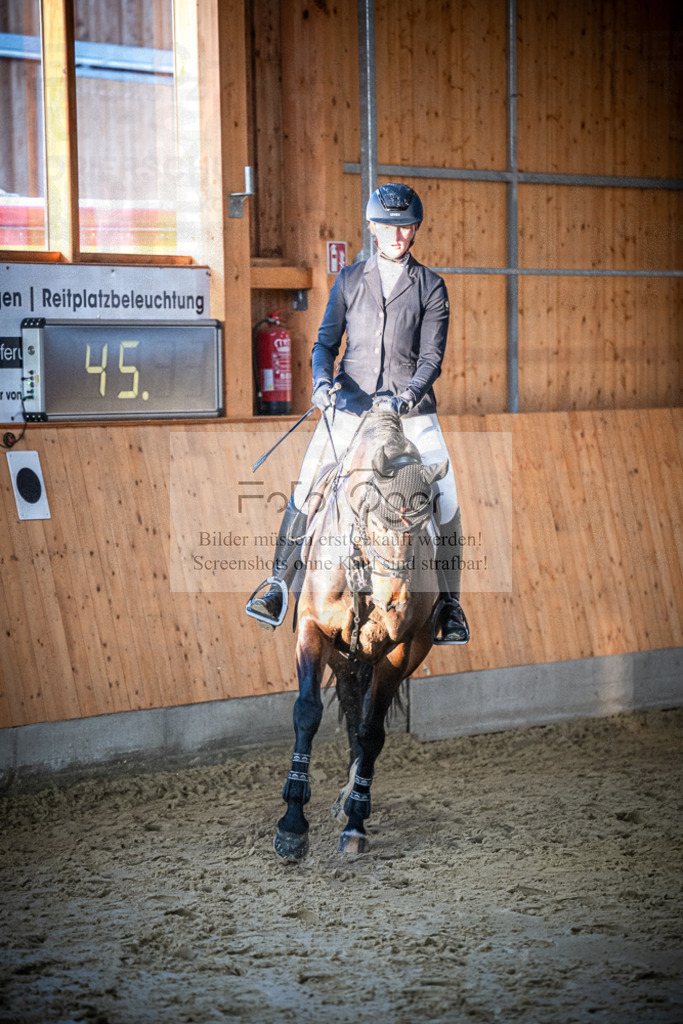 DOS_0791 | Entdecke hochwertige Reitturnierfotos von Foto Oger. Professionell, emotional und authentisch – jetzt Lieblingsmomente im Shop bestellen.Deutschlandweite Turnierfotografie. - Realisiert mit Pictrs.com