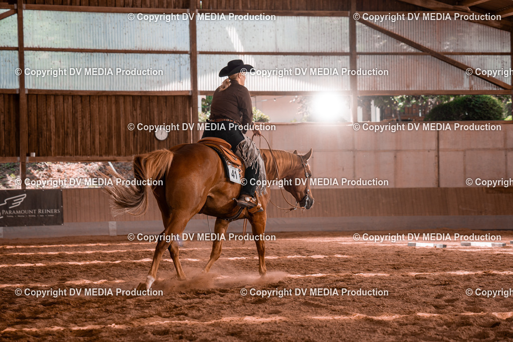 NE100602 | dv-media-shop - Realisiert mit Pictrs.com