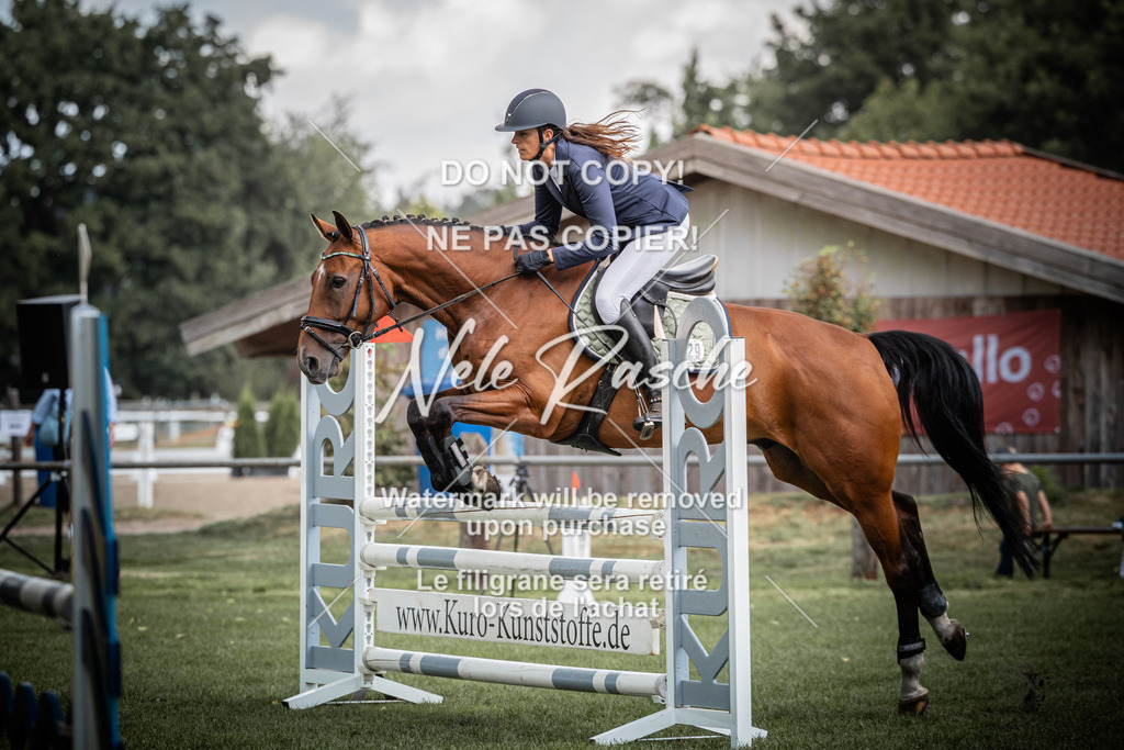 nelerasche_SprA__100Ede_16 | nelerasche