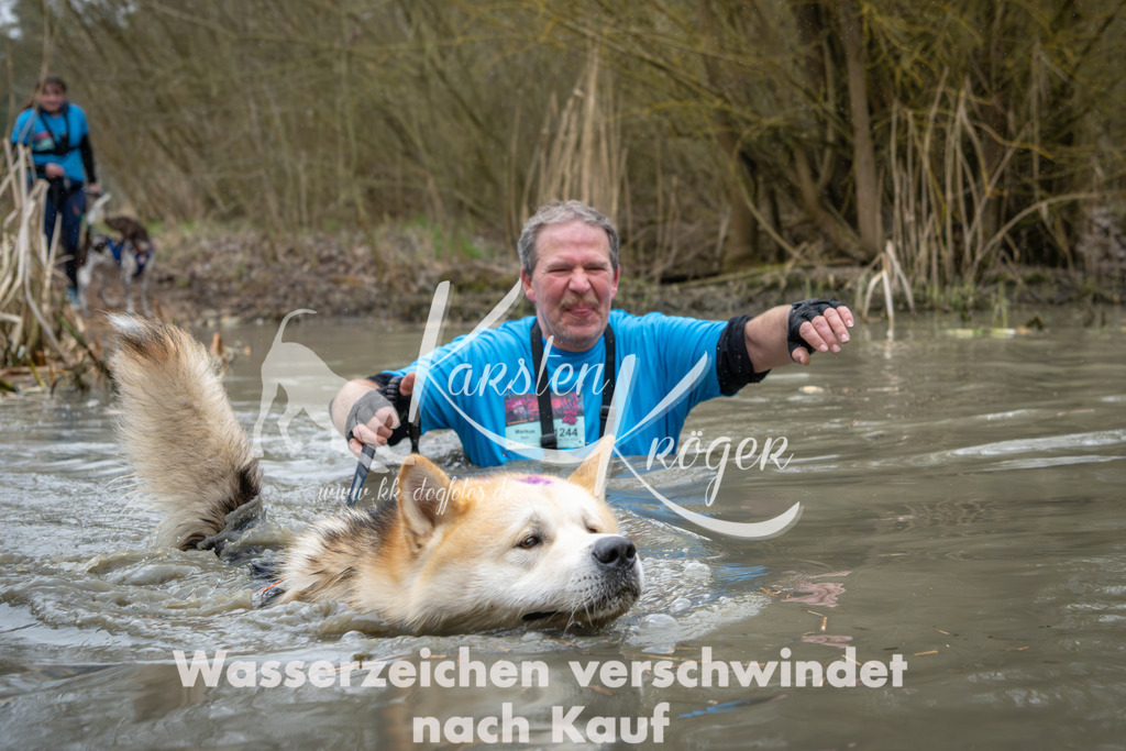 1351_ZZ93464 | kk-dogfotos