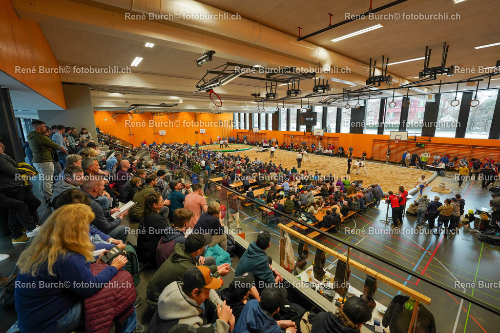 DSC09755 | René Burch leidenschaftlicher Fotograf aus Kerns in Obwalden.  Hier finden sie Sport, Landschaft und Natur Fotografie.
 - Realisiert mit Pictrs.com