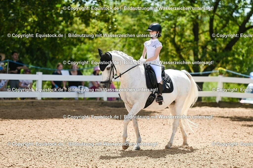 20230715_09_Dressur-WB_0007 | equistock