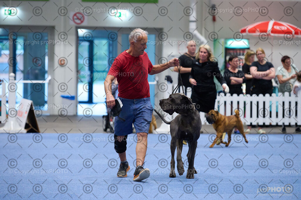 202406_ÖKV-IHA-Tulln24_DSC_3297 | proPHOTO - Realisiert mit Pictrs.com