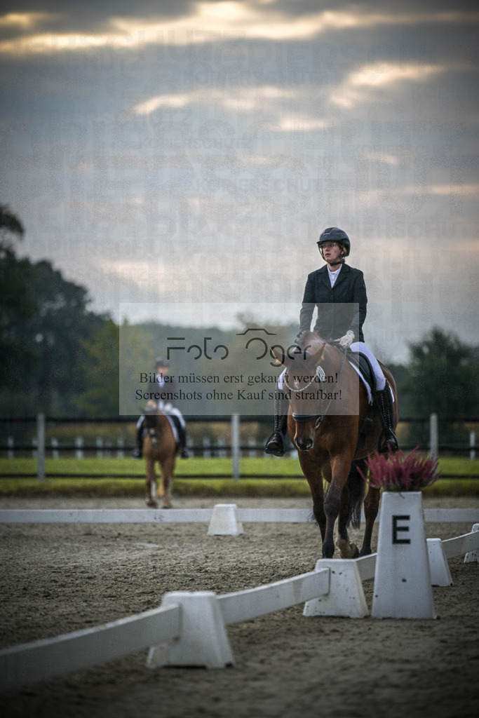 DOS_1759 | Entdecke hochwertige Reitturnierfotos von Foto Oger. Professionell, emotional und authentisch – jetzt Lieblingsmomente im Shop bestellen.Deutschlandweite Turnierfotografie. - Realisiert mit Pictrs.com