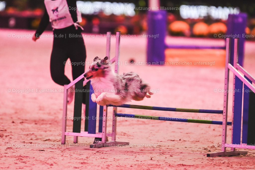20241113_Showabend_TOMsPiC_0460 | Foto: Thomas Hartig