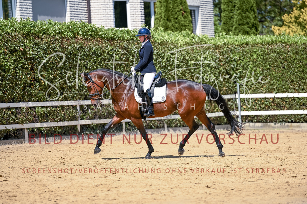 Schugtsche-Aluta25-49.Dressurpferdeprf.A-337 | Schugtsche Fotografie - Realisiert mit Pictrs.com