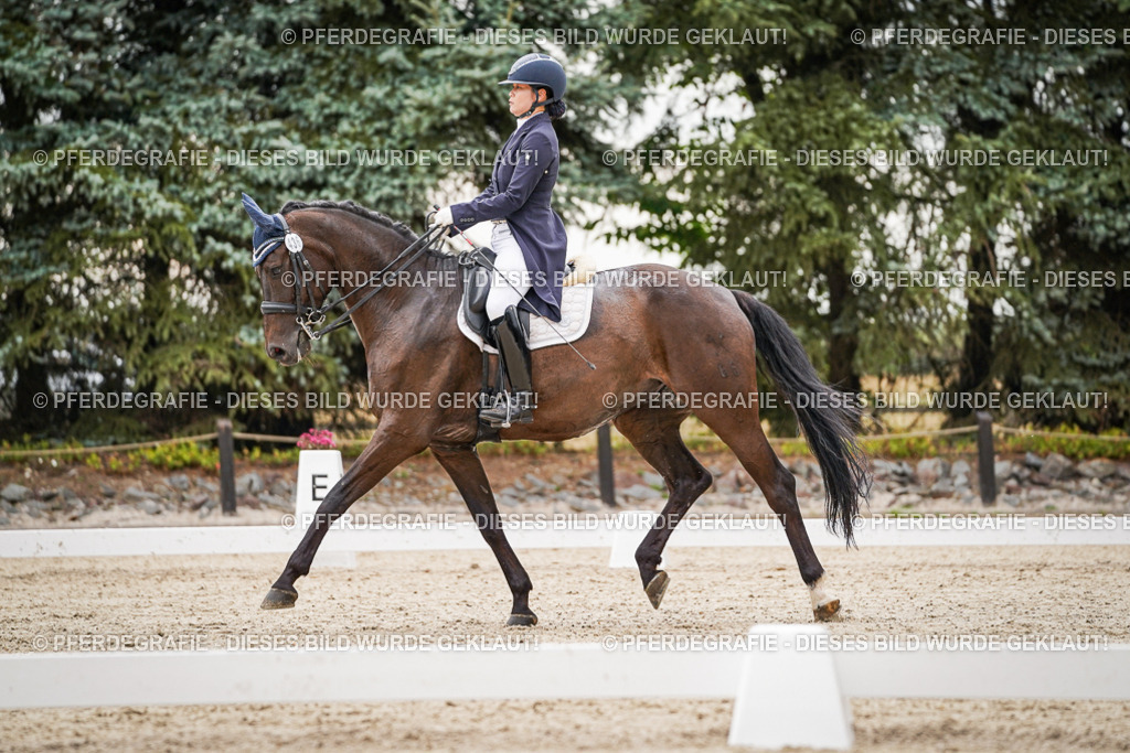 DSC07632 | Pferdegrafie