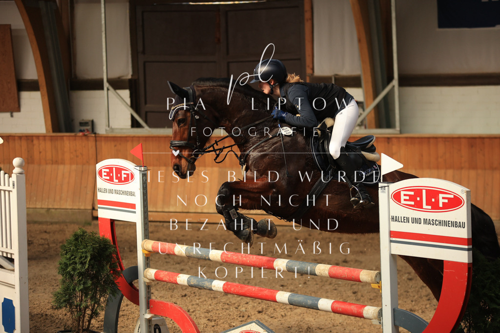 IMGT0461 | pl-fotografie