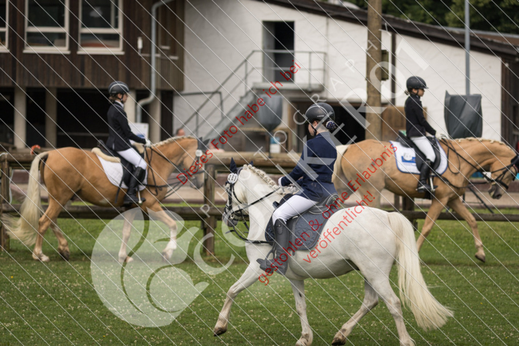 IMG_1603 | Sport-, Event- und Tierfotos in Profiqualität. Einfach auswählen, bestellen und herunterladen. Dein Moment – perfekt festgehalten.