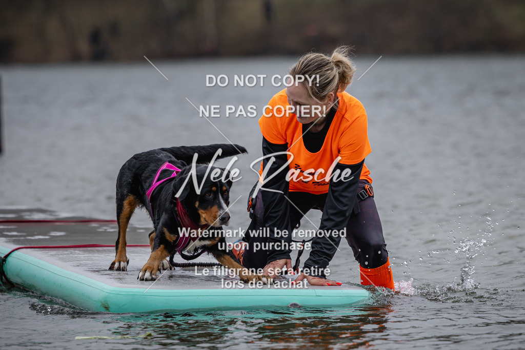 nelerasche_Hulsbeek_Sa1430-1515_295 | nelerasche