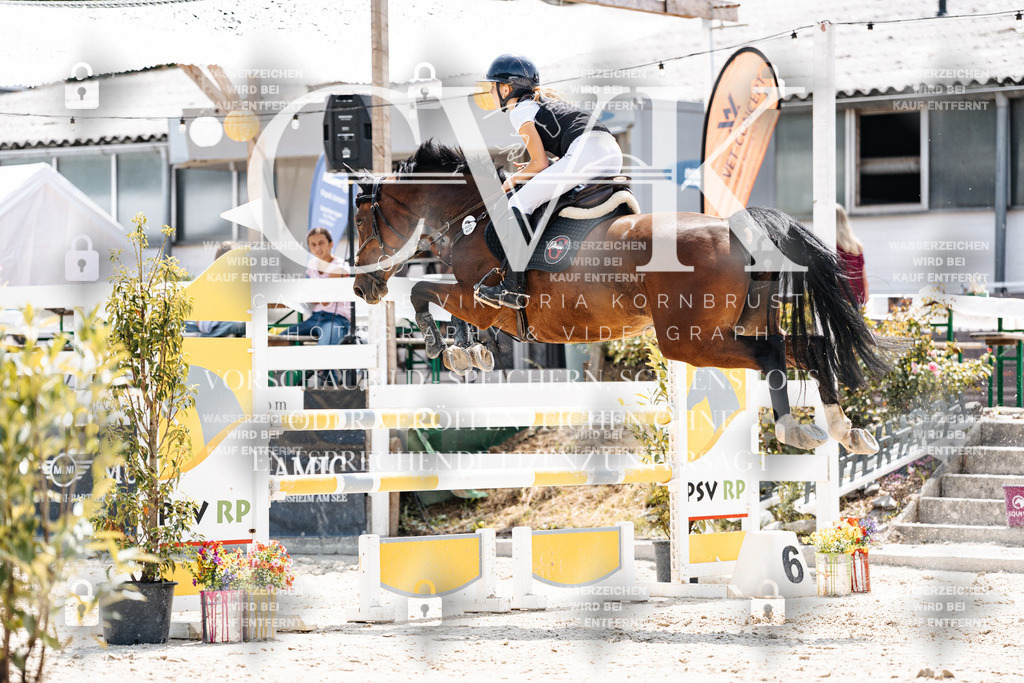 CK908051 | Turnierfotografie Pferdefotografie Trier Rheinland-Pfalz Pferdesport Reitsport Tierfotografie Sportfotografie Pferdevideo Pferdevideografie Equestrianvideography equestrianphotography  - Realisiert mit Pictrs.com