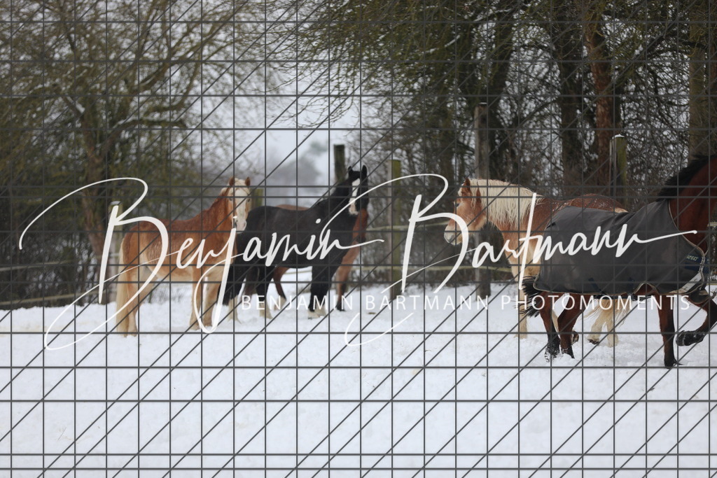 AZ2A3399 | Benjamin Bartmann Photomoments