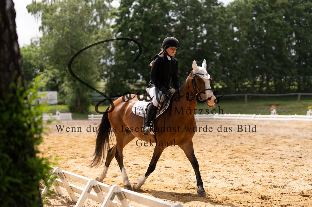 A7506002 | Turnier/Reitfotograf