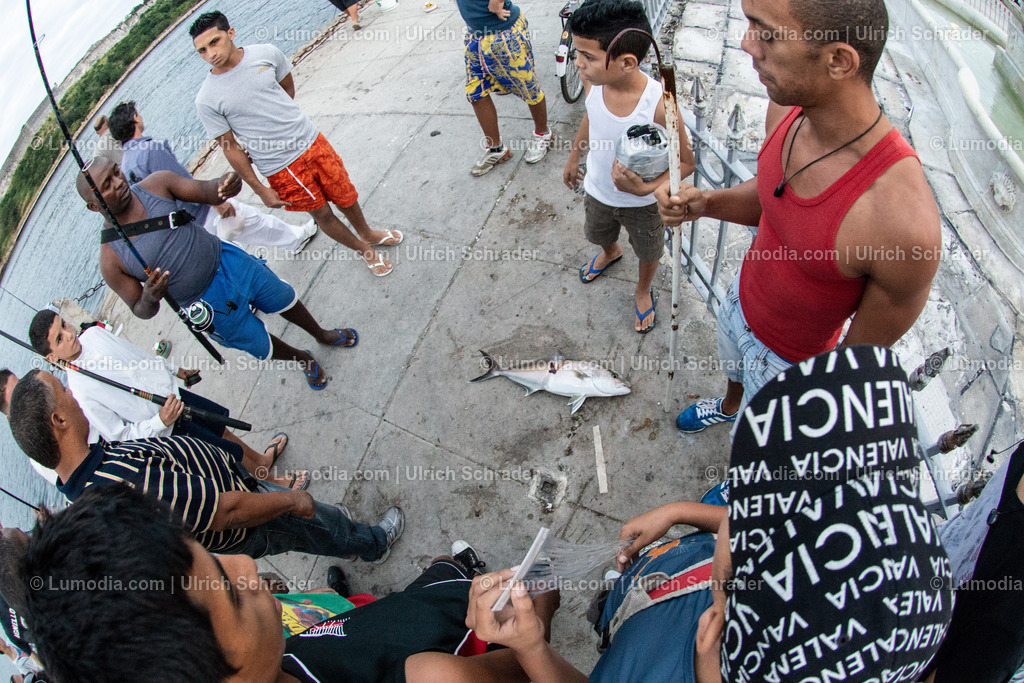 202510-116 | Stockfoto und Bilderpool mit Bildmaterial aus Deutschland, dem Harz, Halberstadt, Quedlinburg, Wernigerode und weltweit. Qualitativ hochwertige und professionelle Fotos anschauen und kaufen. - Realisiert mit Pictrs.com