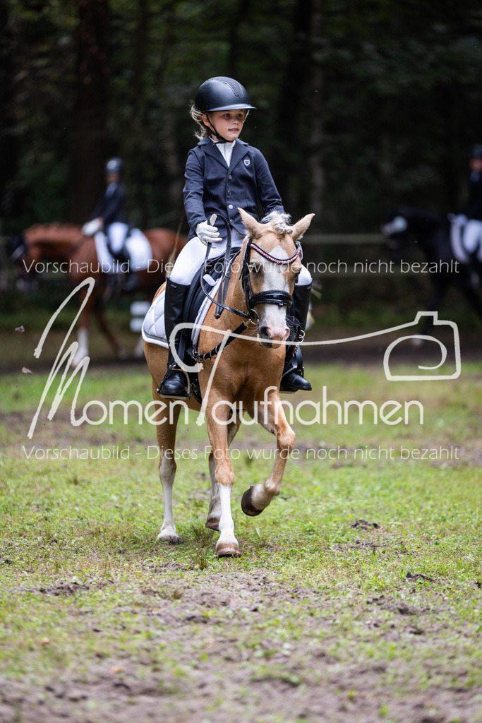 HB-Reiter-WB-062 | MomenTaufnahmen Pferdesportfotos