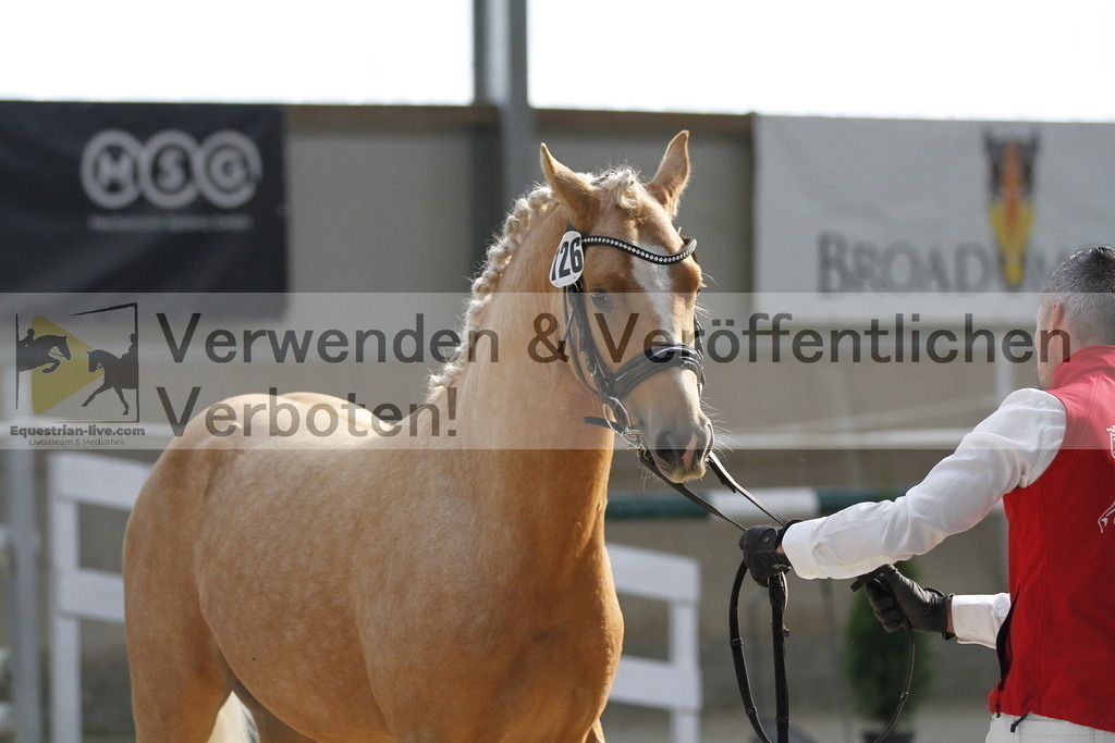 _MG_9720 | equestrian-live-com
