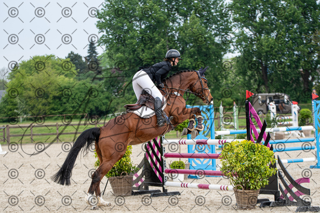 KPT_3539 | andre_photographic