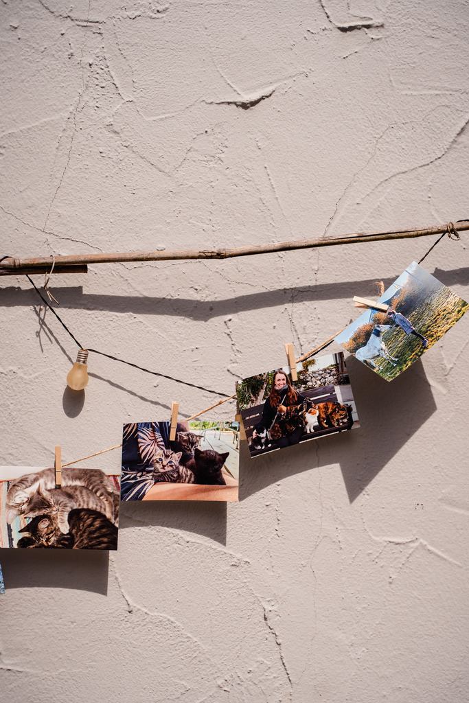 20260426-48 | MuT (Mensch und Tier) mit Mona - Fotografie und Tierkommunikation - Realisiert mit Pictrs.com