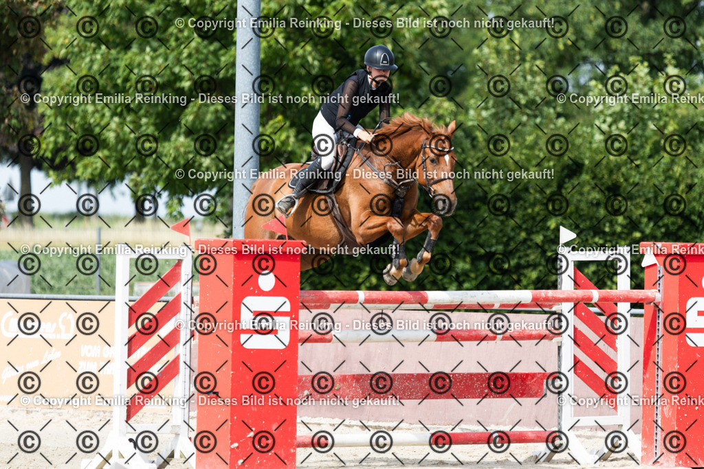 CL5A4320 | Emilia Reinking Fotografie - Realisiert mit Pictrs.com