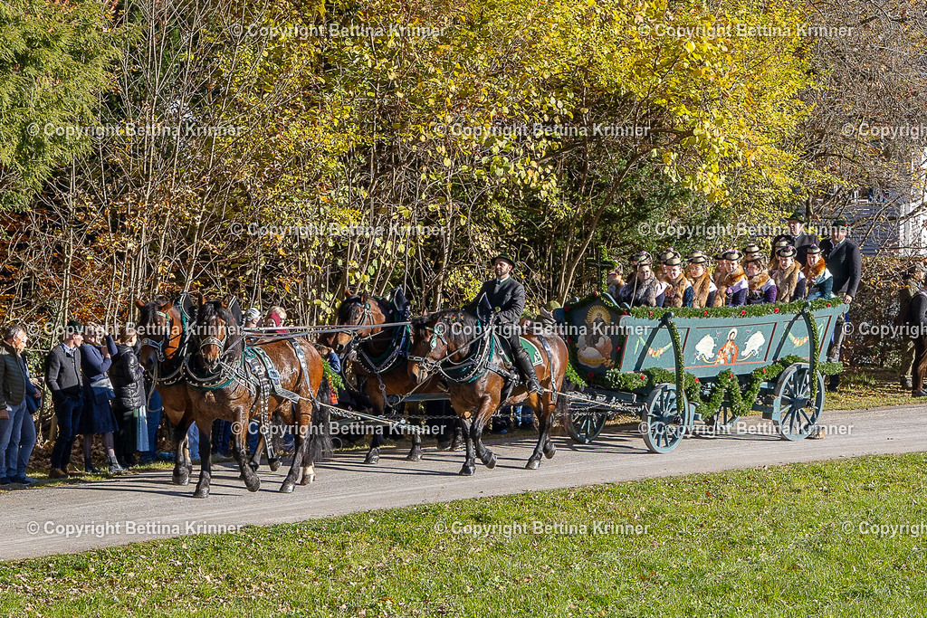 LBT25-264 | foto-bettina-krinner - Realisiert mit Pictrs.com