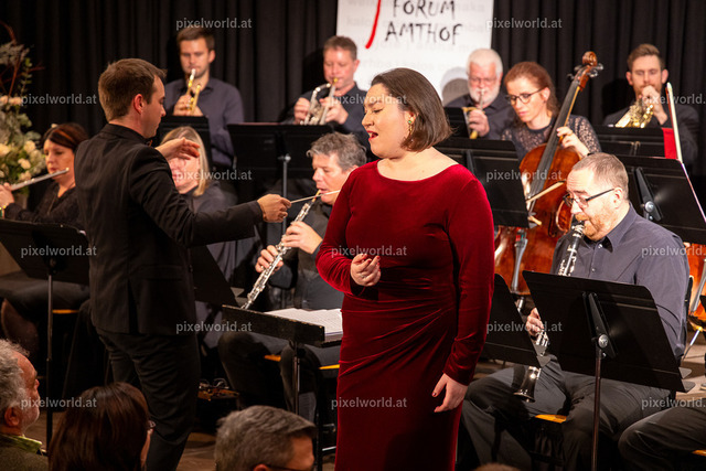 Neujahrskonzert | Bildershop von pixelworld.at - Realisiert mit Pictrs.com