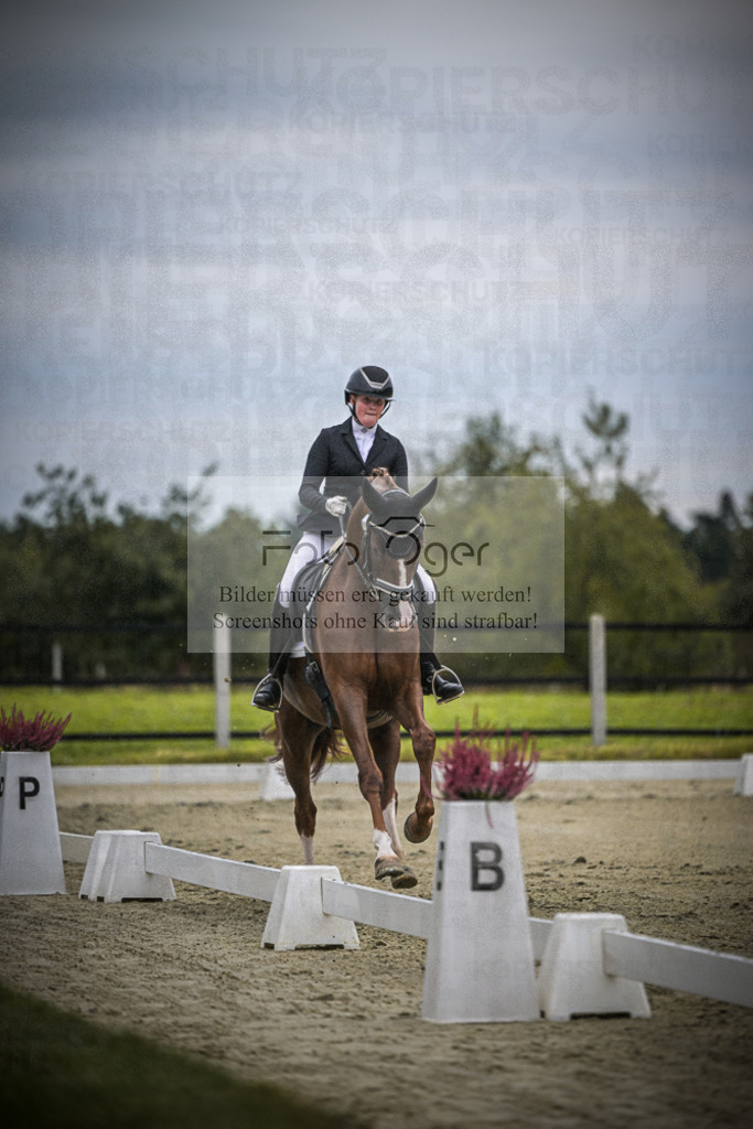 DOS_0827 | Entdecke hochwertige Reitturnierfotos von Foto Oger. Professionell, emotional und authentisch – jetzt Lieblingsmomente im Shop bestellen.Deutschlandweite Turnierfotografie. - Realisiert mit Pictrs.com