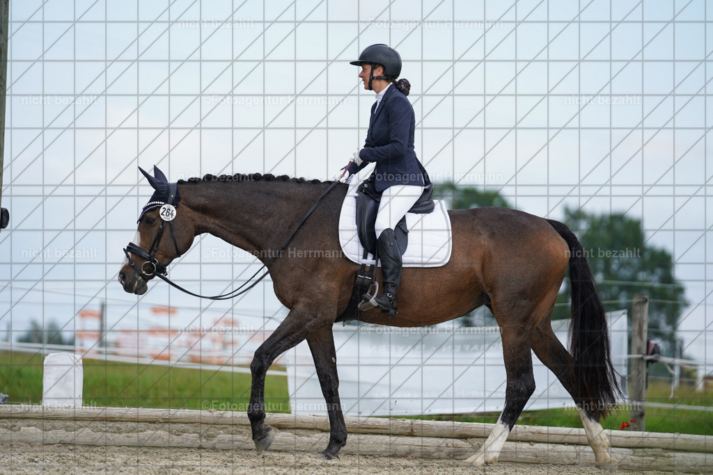 20230826-FAH05218 | Forstinning, 2023, Dressurturnier, Turniersportbilder, Turnierfotografen Bayern, Fotoagentur Herrmann, Reitsportfotografie, Turnierbilder