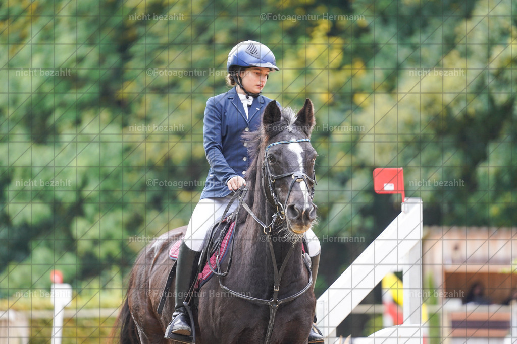20221009-FAH08411 | Diessen am Ammersee, 2022, Dressur- und Springturnier, Reitsportbilder, Turnierfotografen Bayern, Pferdefotografen, Fotoagentur Herrmann, Turnierbilder