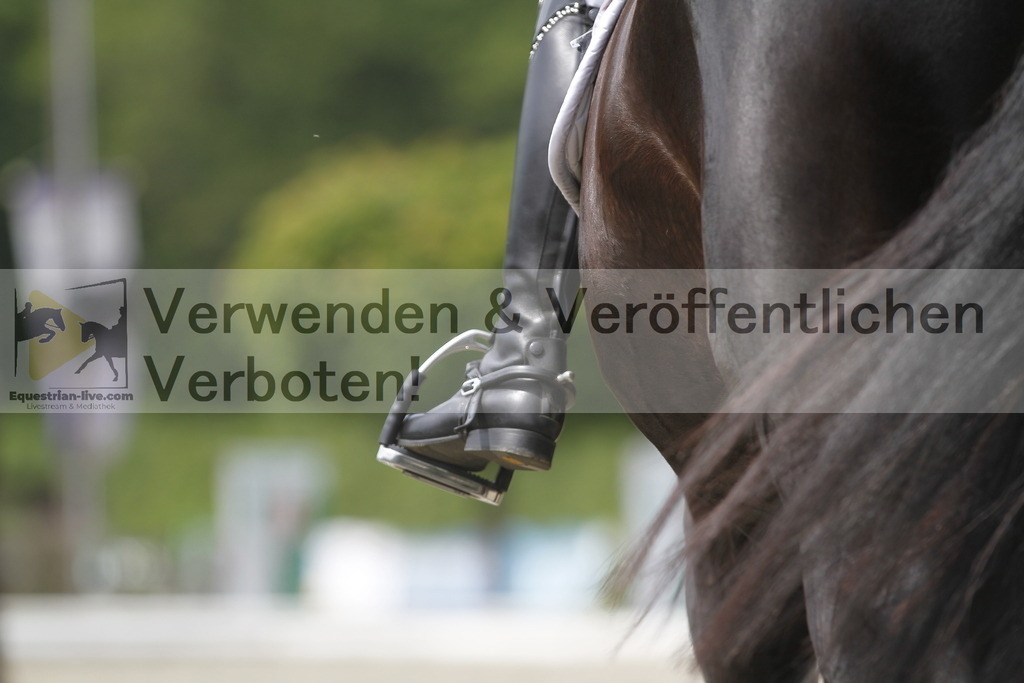 _MG_9093 | equestrian-live-com