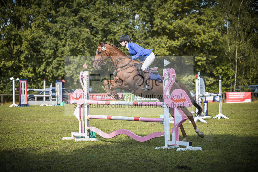 DOS_1034 | Entdecke hochwertige Reitturnierfotos von Foto Oger. Professionell, emotional und authentisch – jetzt Lieblingsmomente im Shop bestellen. - Realisiert mit Pictrs.com